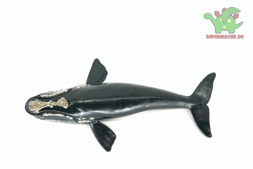 Schleich Nordkaper Wal 14558
